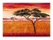 Serengeti Dawn Art Print by Emilie Gerard - African Wildlife Wall Décor 23.5 x 3 inch